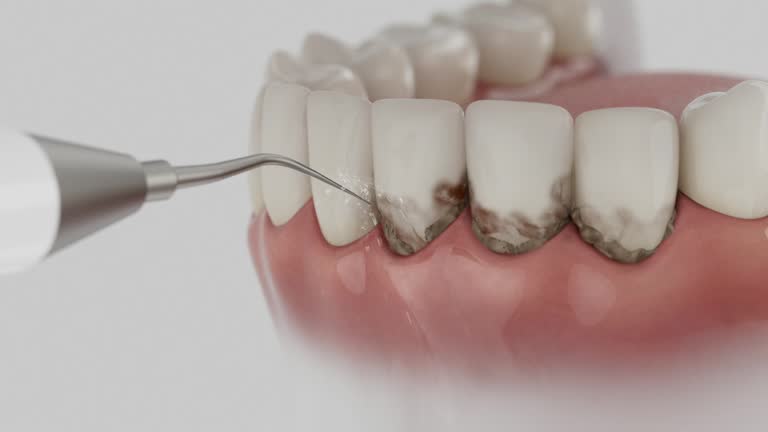 Reliable Dental contractor in San Miguel, CA by Dentist Open Now